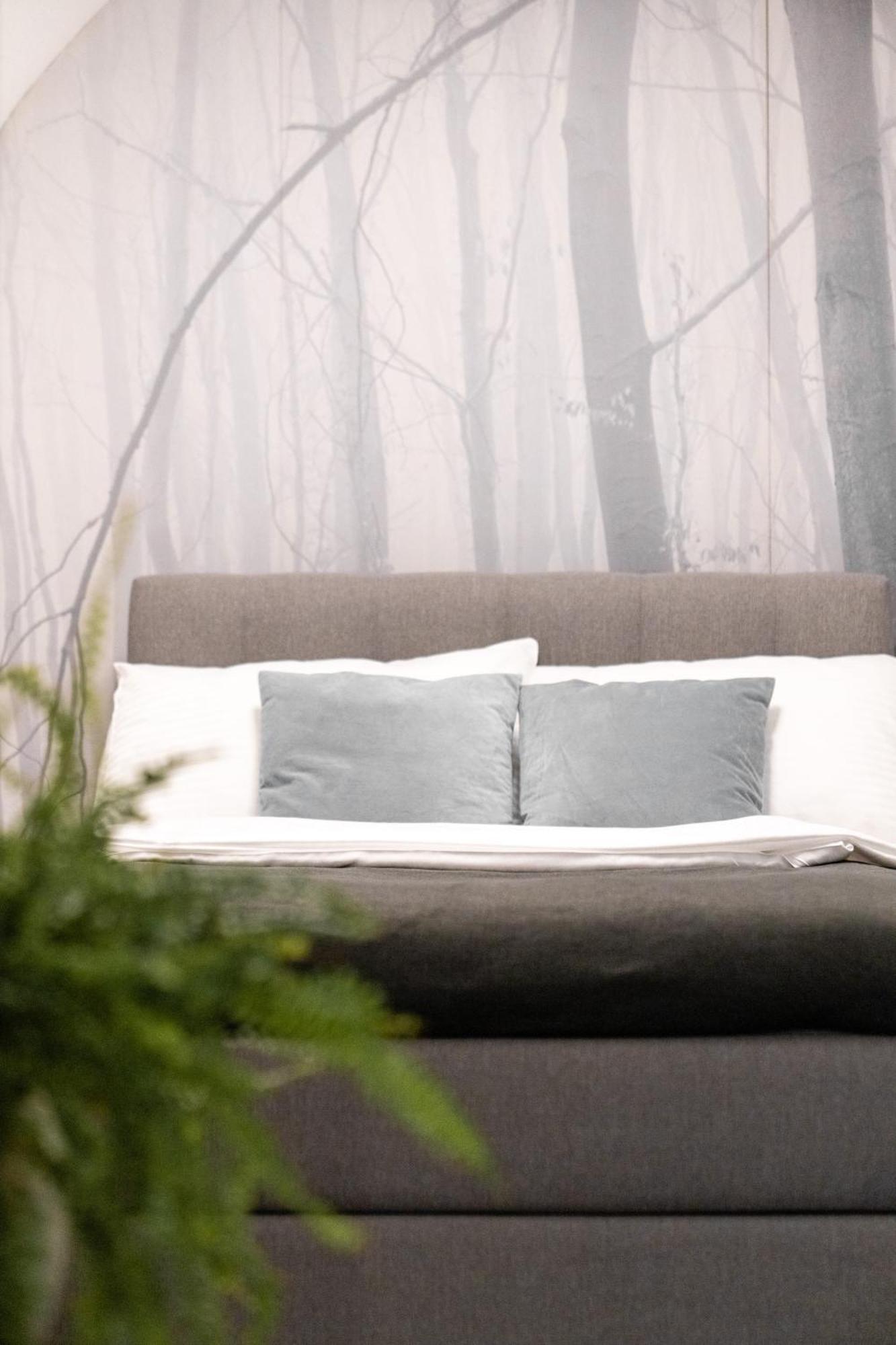 Stadthotel Styria Hotel Steyr